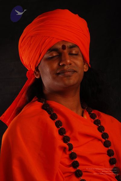 File:2008 SY14437 CMP WM.jpg