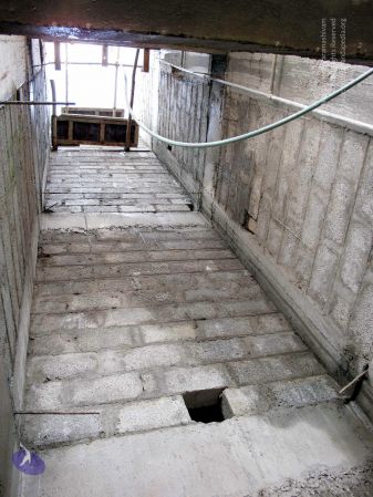 20090101IMG 0345 CMP WM001.jpg