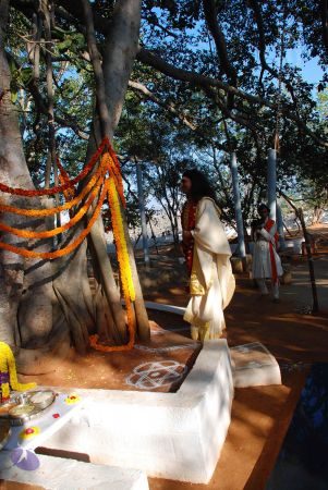 20090101 Photo 1733 11fU-wITThZvt0LoxLiemSF1F2FgUMsFR.JPG