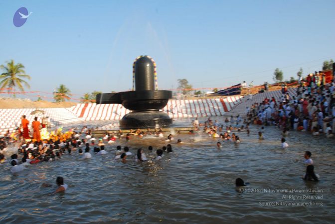 20090102 Photo 1597 1ilShT0AmfTTVn59q13ZVYa-iNXBQgoeS.JPG