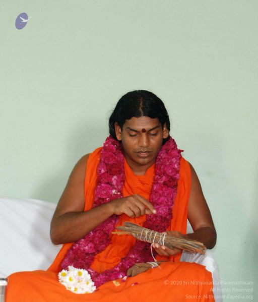 File:20090110 Photo 1111 1U9rcb-yOsBJnLbk16uuQSTIUo-4RRMxg.JPG