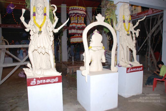 20090111 Photo 1148 1bh Eut8GtjtiDopternTnsurjTPK3XxQ.JPG