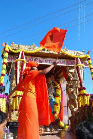 20090112 0375 CMP WM.jpg