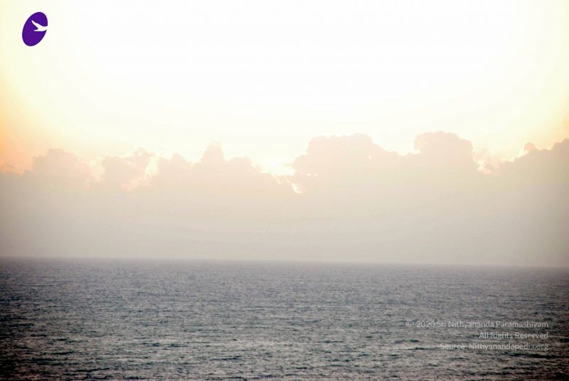 File:20090112 DSC 0672 CMP WM01.jpg