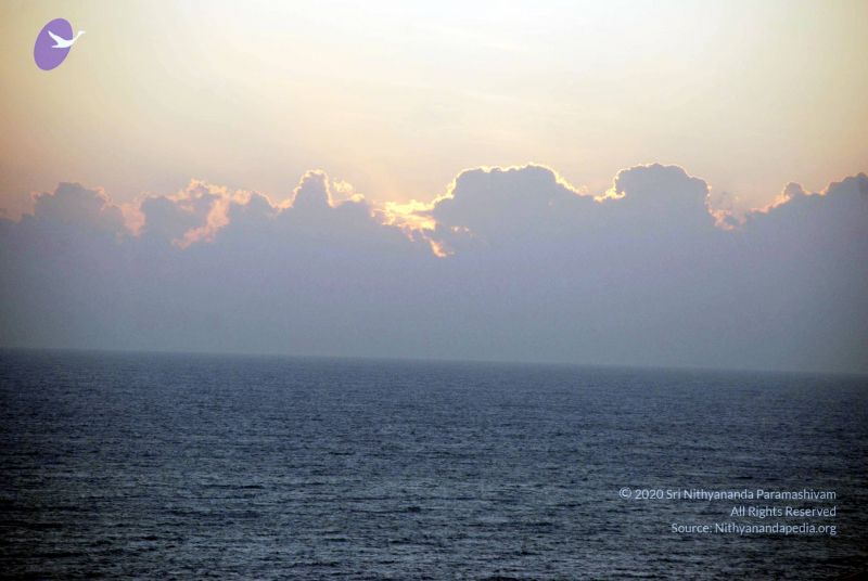 File:20090112 DSC 0673 CMP WM01.jpg