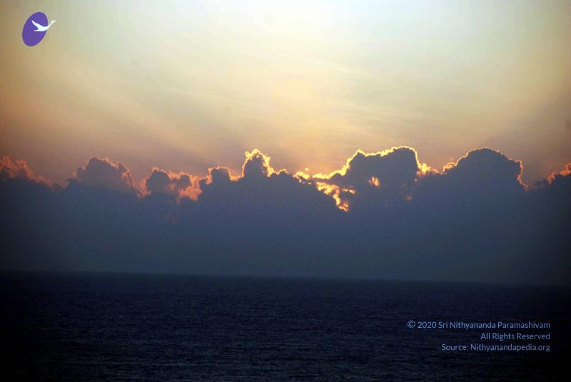 File:20090112 DSC 0678 CMP WM01.jpg