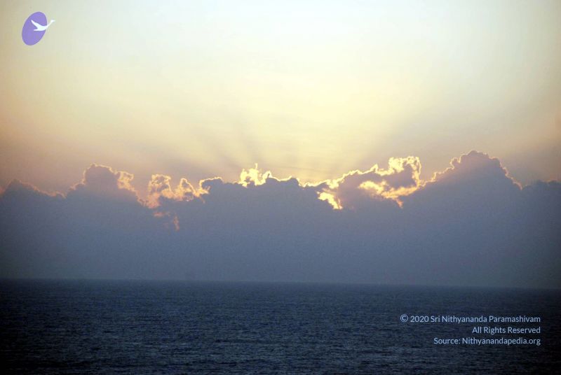 File:20090112 DSC 0689 CMP WM01.jpg