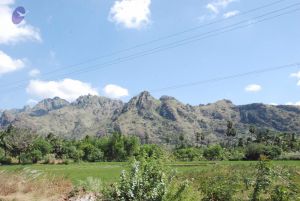 20090112 Thovalai 1229 CMP WM.jpg