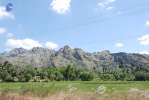 20090112 Thovalai 1230 CMP WM.jpg