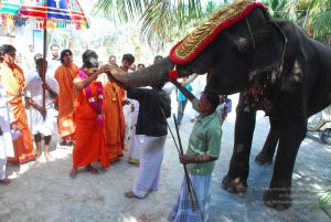 20090112 Thovalai 1277 CMP WM.jpg