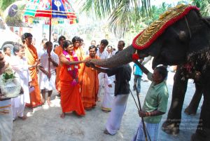 20090112 Thovalai 1278 CMP WM.jpg