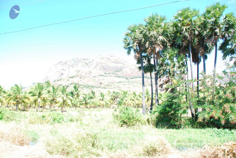 File:20090112 kodikannyatra 0908 CMP WM.jpg