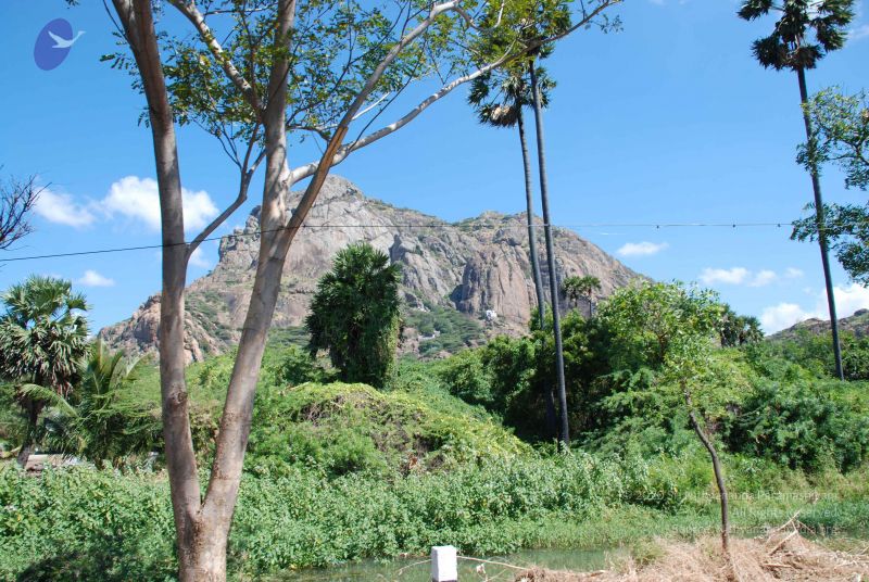 File:20090112 kodikannyatra 0960 CMP WM.jpg