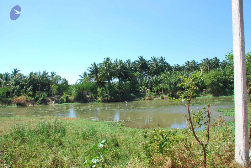 File:20090112 kodikannyatra 1087 CMP WM.jpg