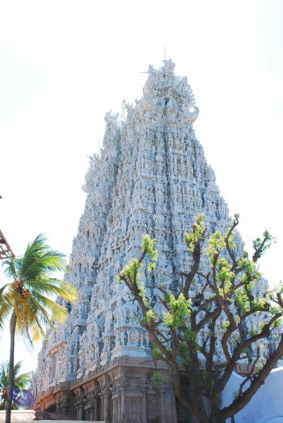 File:20090112 kodikannyatra 1159 CMP WM.jpg