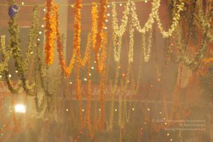 20090112 sapthayagam 1599 CMP WM.jpg