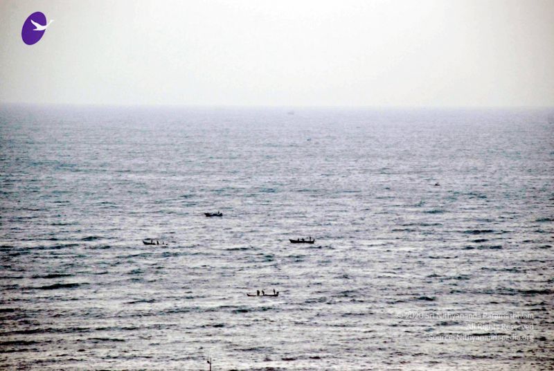 File:20090113 DSC 2032 CMP WM01.jpg