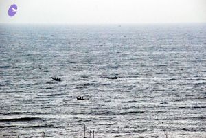 20090113 DSC 2034 CMP WM01.jpg