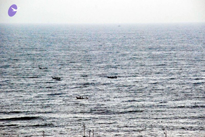 File:20090113 DSC 2034 CMP WM01.jpg