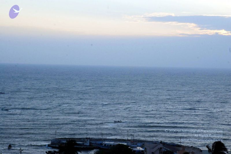 File:20090113 DSC 2210 CMP WM01.jpg