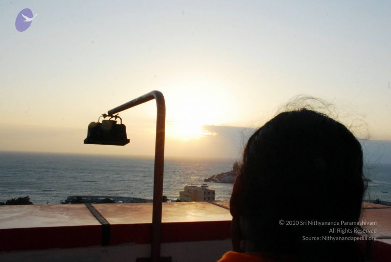 File:20090113 DSC 2271 CMP WM01.jpg