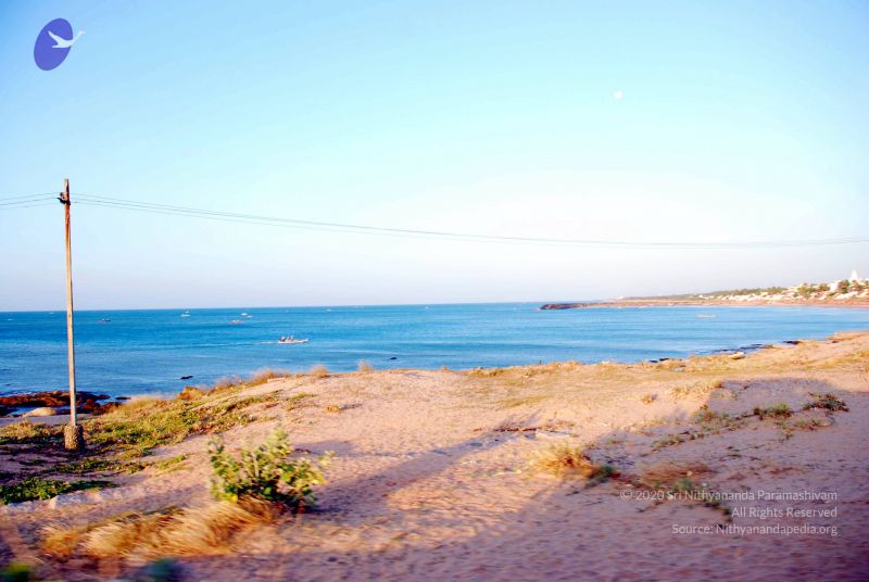 File:20090113 DSC 2354 CMP WM01.jpg