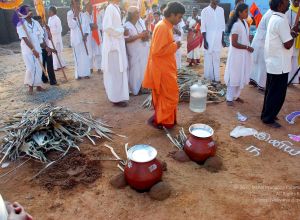 20090114 DSC 0233 CMP WM100.jpg