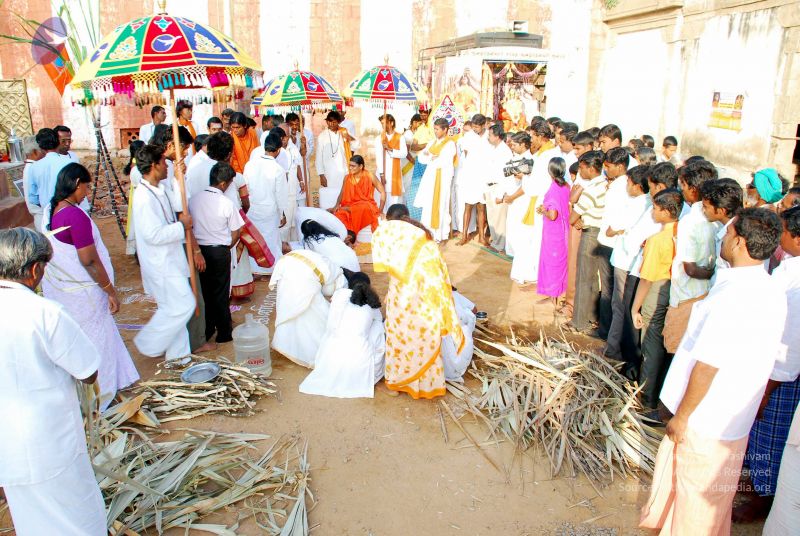 File:20090114 DSC 0280 CMP WM100.jpg