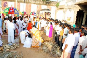 20090114 DSC 0281 CMP WM100.jpg