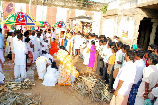 20090114 DSC 0281 CMP WM100.jpg