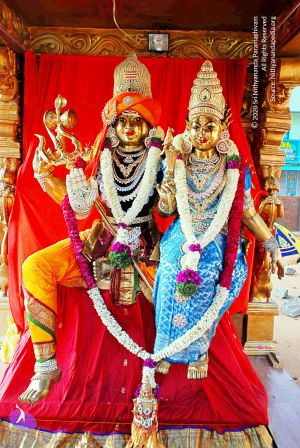 20090114 DSC 0298 CMP WM100.jpg