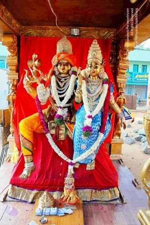 20090114 DSC 0300 CMP WM100.jpg