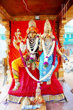 20090114 DSC 0301 CMP WM100.jpg