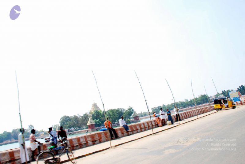 File:20090114 DSC 0345 CMP WM100.jpg