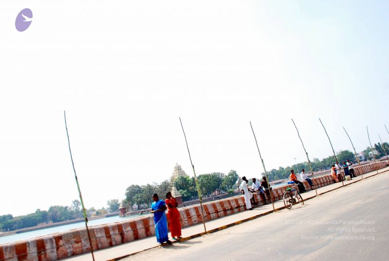 File:20090114 DSC 0348 CMP WM100.jpg