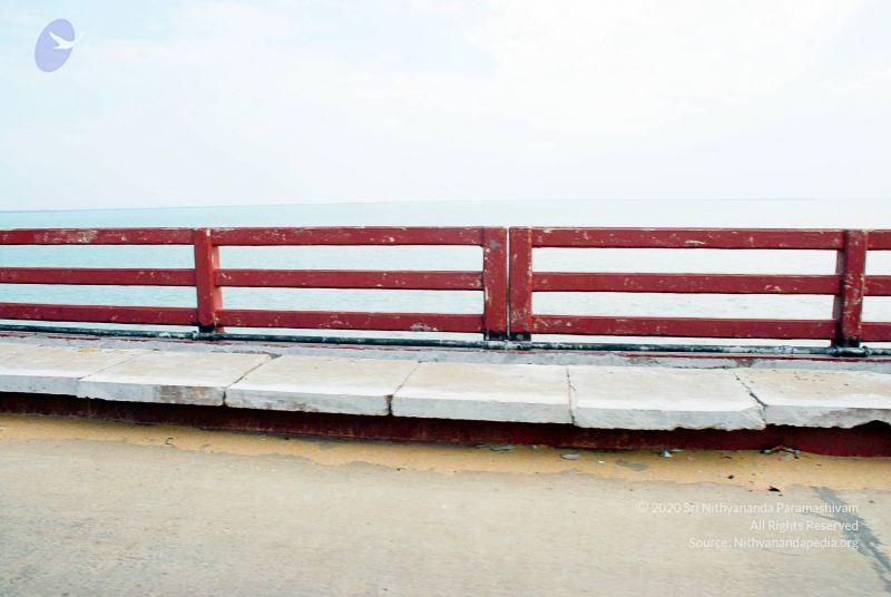 File:20090114 DSC 0354 CMP WM100.jpg