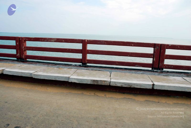 File:20090114 DSC 0355 CMP WM100.jpg