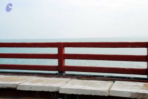 20090114 DSC 0358 CMP WM100.jpg