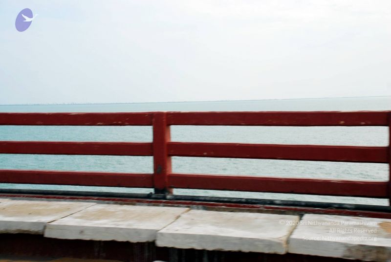 File:20090114 DSC 0358 CMP WM100.jpg