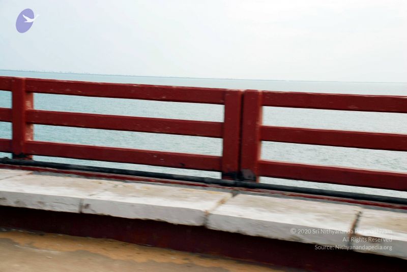 File:20090114 DSC 0359 CMP WM100.jpg