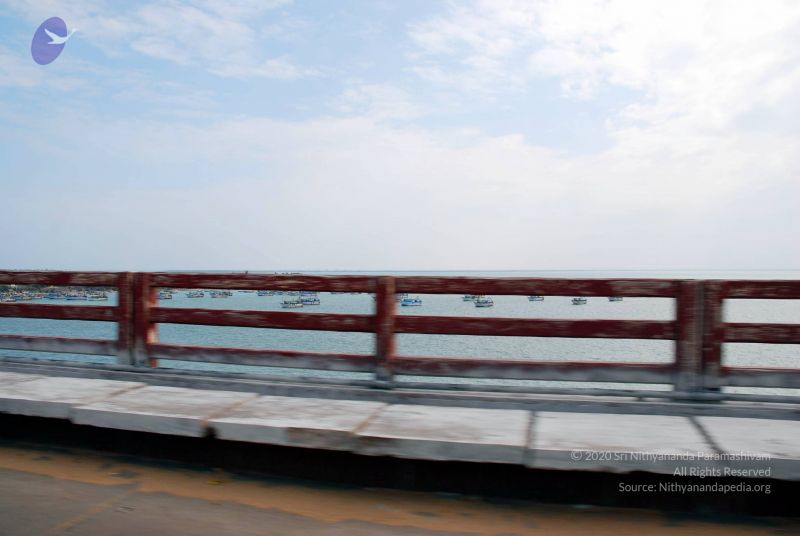 File:20090114 DSC 0372 CMP WM100.jpg