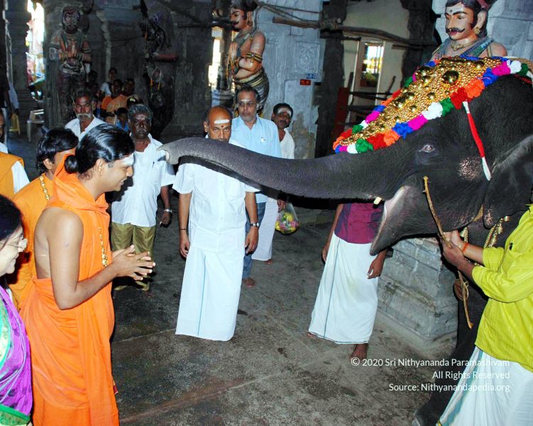 File:20090114 DSC 0406 CMP WM100.jpg