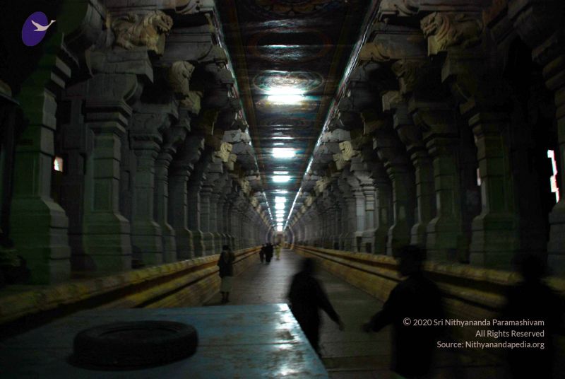 File:20090114 DSC 0448 CMP WM100.jpg