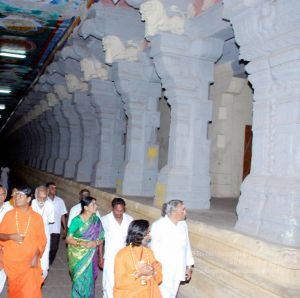 20090114 DSC 0456 CMP WM100.jpg