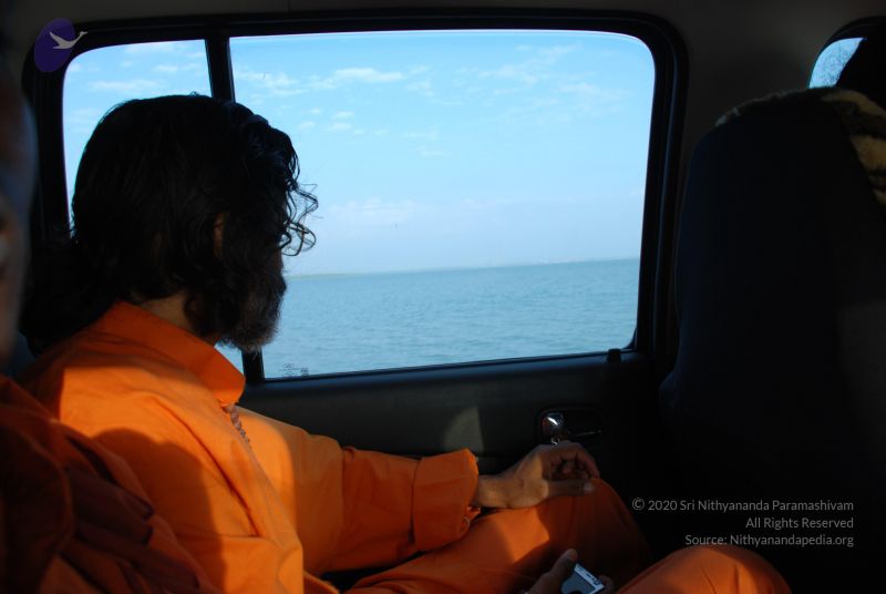 File:20090115 Photo 1000 1L2azOGm1BfaASjcX2qm5vJO4Ea- PF8J.JPG