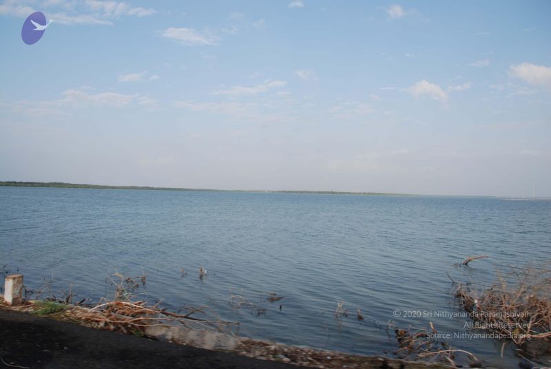 File:20090115 Photo 1014 1ZCyXBehb9MFA3rNpFDmz4vfkgWHwhOT-.JPG
