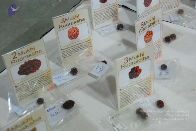 File:20090118 Photo 1088 1zzf5VCIinRd8evk dgJP6LGamTNXW4ax.JPG