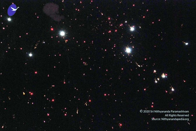 20090120 DSC 0519 CMP WM01.jpg