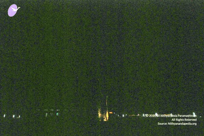 20090120 DSC 0522 CMP WM01.jpg