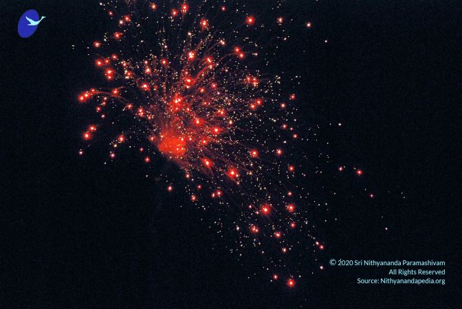 20090120 DSC 0540 CMP WM01.jpg